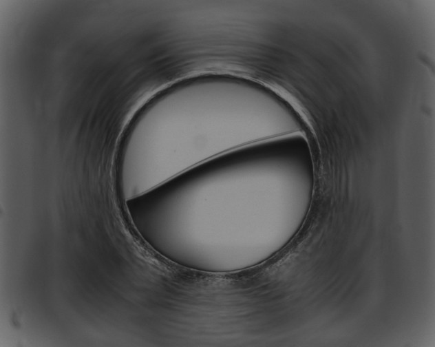 X0000097640783200802290821