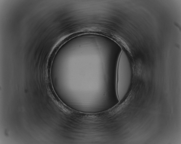 X0000097640784200802290821