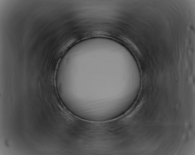 X0000097640785200802290821