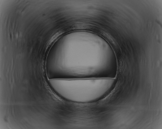 X0000097640786200802290821