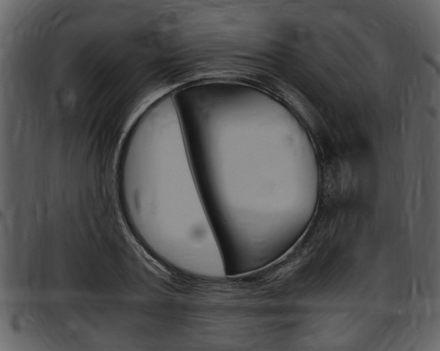 X0000097640787200802290821