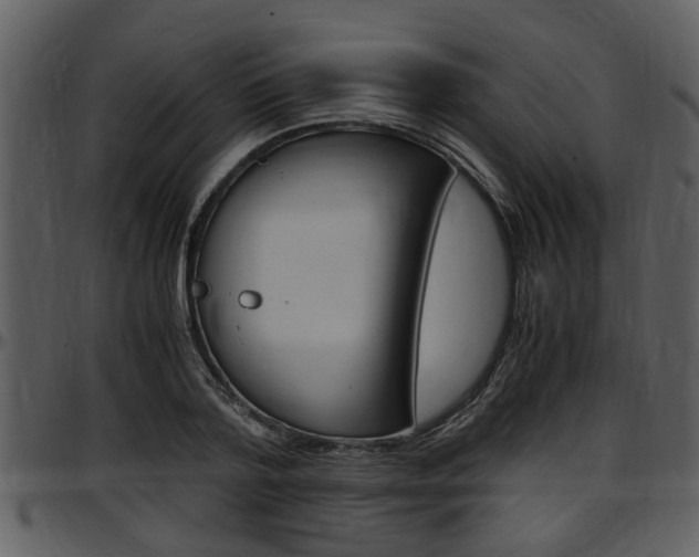 X0000097640788200802290821