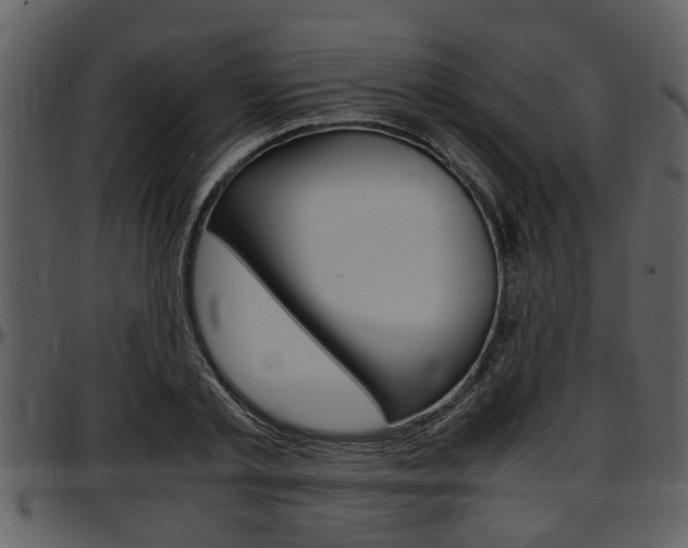 X0000097640789200802290821