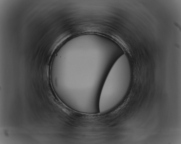 X0000097640790200802290821