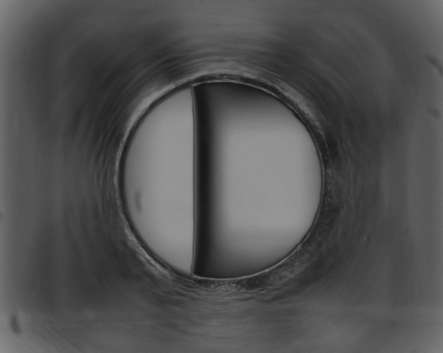X0000097640791200802290821