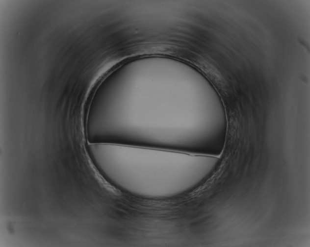 X0000097640792200802290821