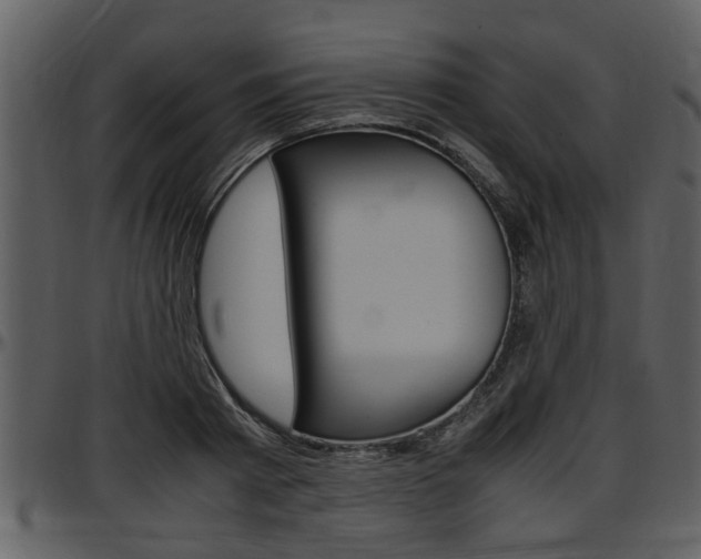X0000097640793200802290821