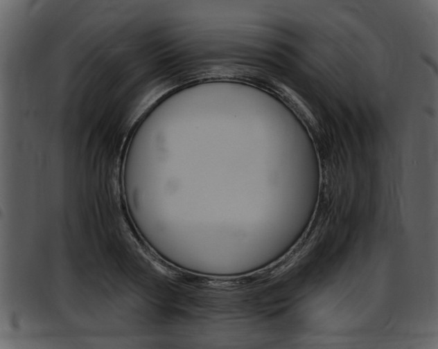 X0000097640794200802290821