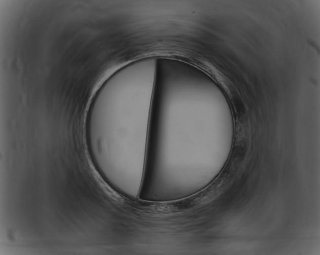 X0000097640795200802290821