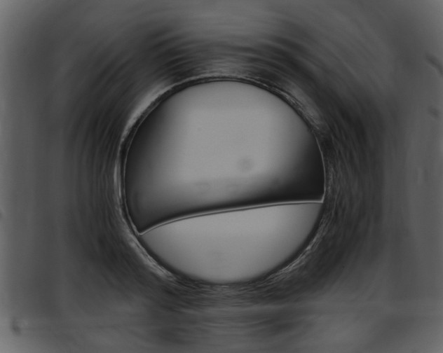 X0000097640796200802290821