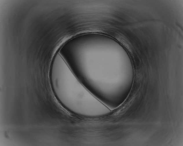 X0000097640797200802290821