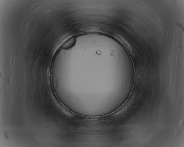 X0000097640798200802290821