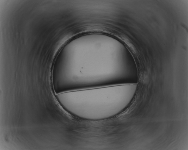 X0000097640799200802290821
