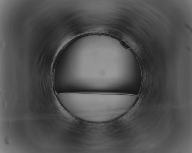 X0000097640800200802290821