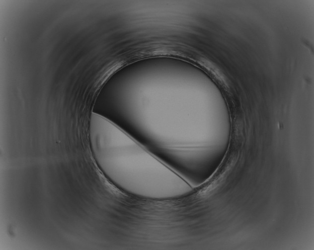 X0000097640801200802290821