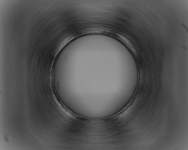 X0000097640802200802290821