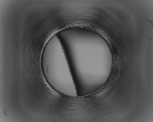 X0000097640803200802290821