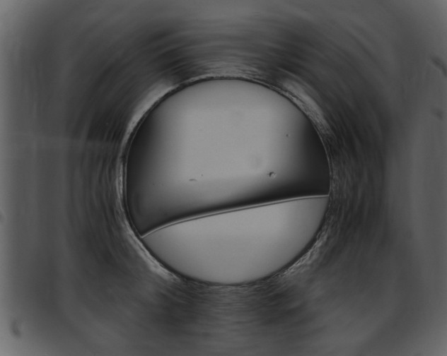 X0000097640804200802290821
