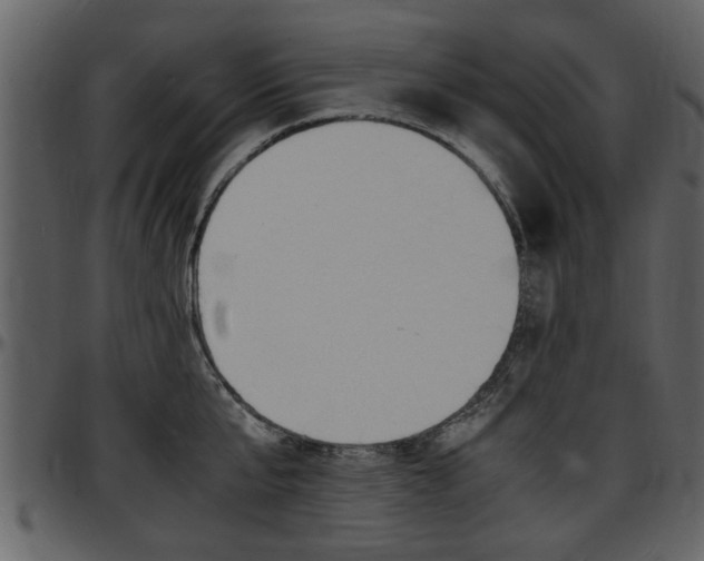 X0000097640807200802290821