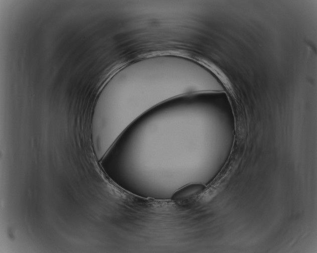 X0000097640809200802290821