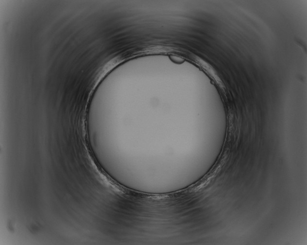 X0000097640810200802290821
