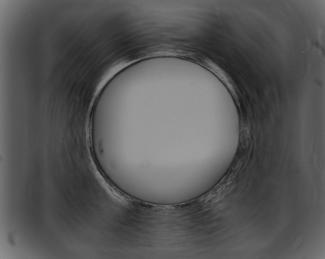 X0000097640811200802290821