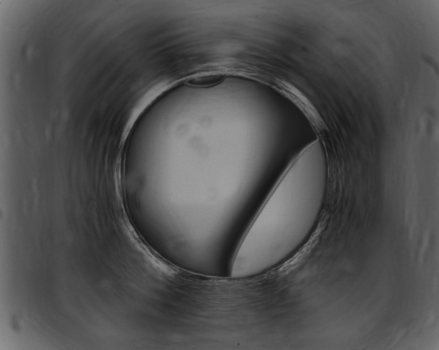 X0000097640812200802290821