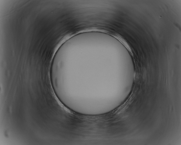 X0000097640813200802290821