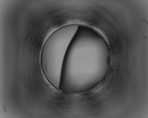 X0000097640815200802290820