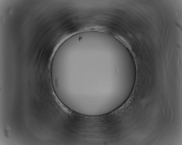 X0000097640816200802290820