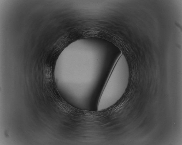 X0000097640818200802290820