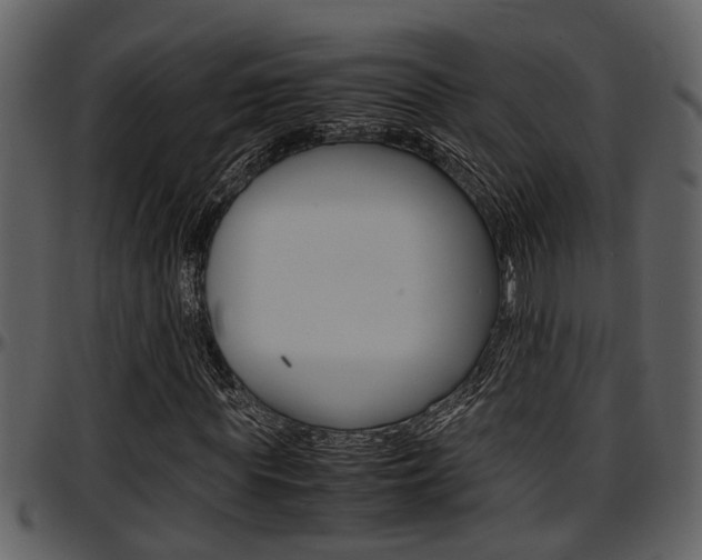 X0000097640819200802290820