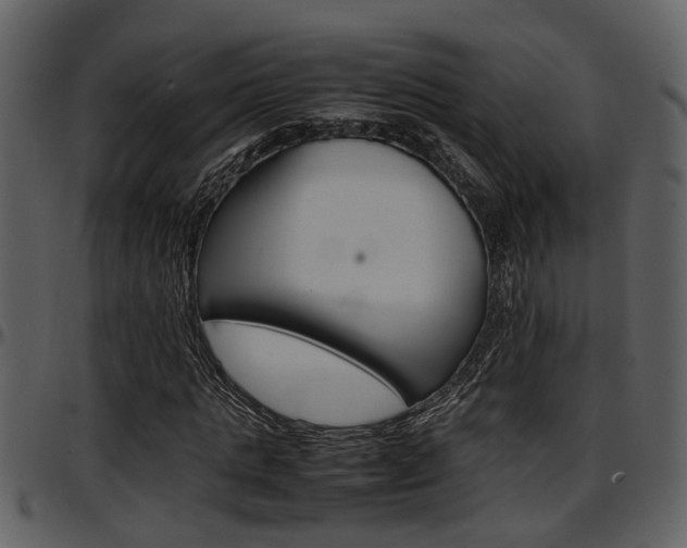 X0000097640821200802290820