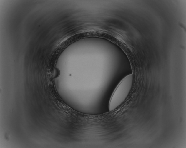 X0000097640822200802290820