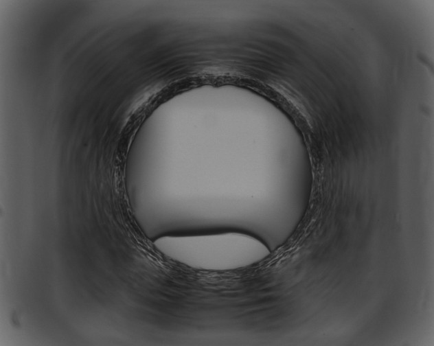 X0000097640823200802290820