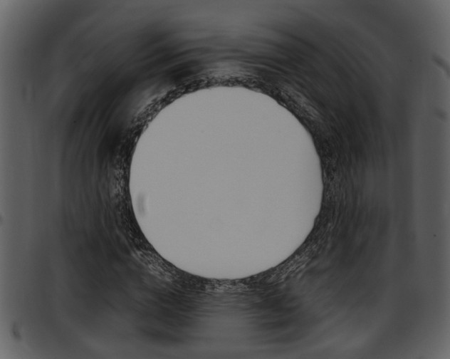 X0000097640824200802290820