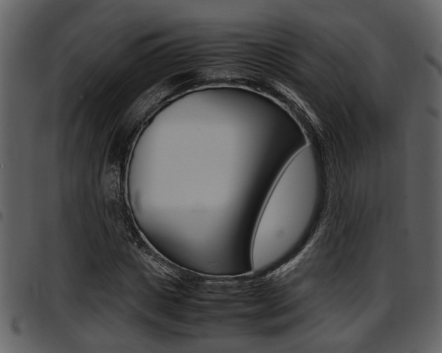 X0000097640825200802290820