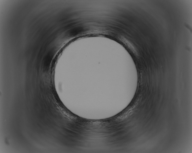 X0000097640828200802290820