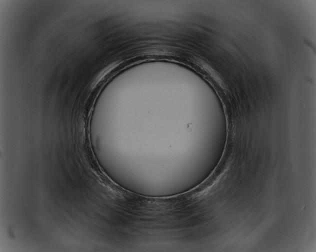X0000097640829200802290820