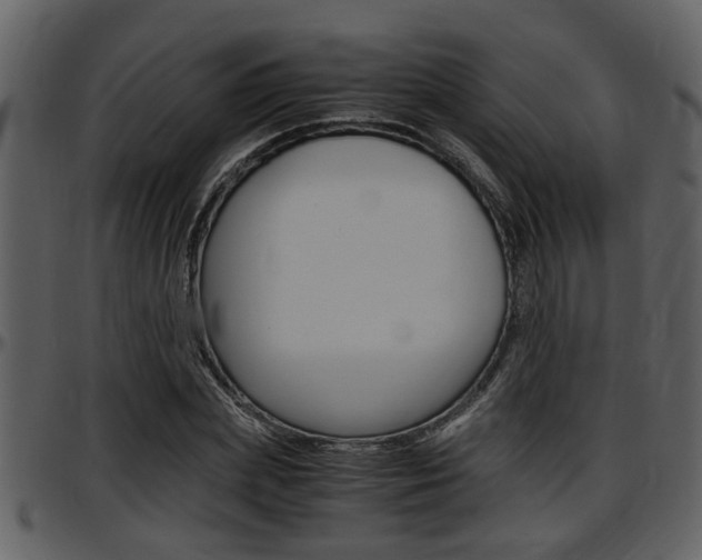 X0000097640831200802290820