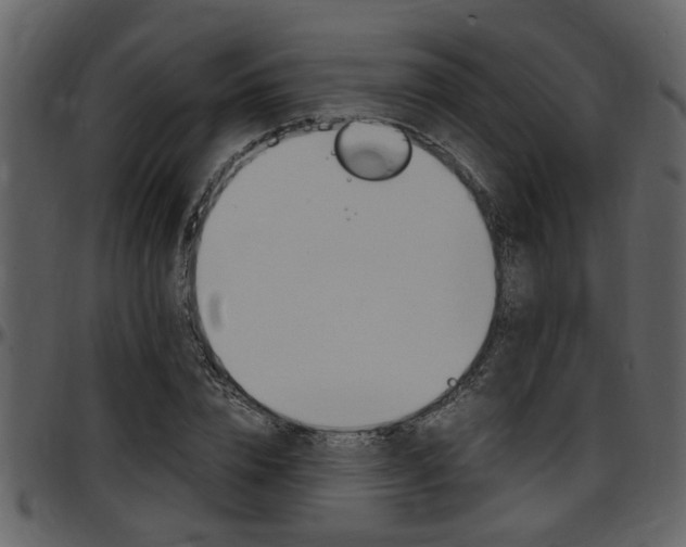 X0000097640832200802290820