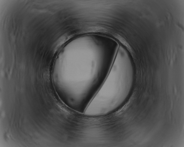 X0000097640834200802290820