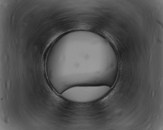 X0000097640835200802290820