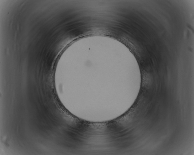 X0000097640836200802290820