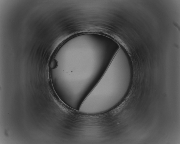 X0000097640838200802290820
