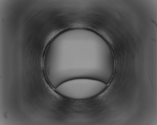 X0000097640839200802290820