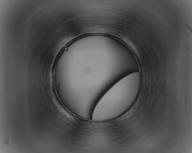 X0000097640840200802290820