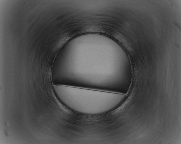 X0000097640841200802290820
