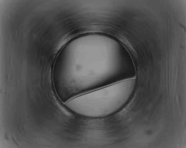 X0000097640842200802290820
