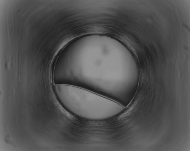 X0000097640843200802290820
